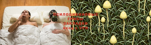 мескалин Пересвет