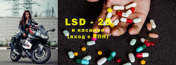 спайс Покачи