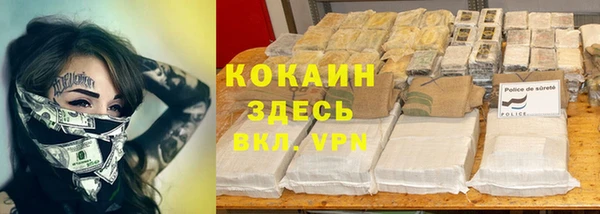 спайс Покачи
